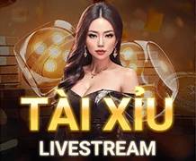 Sun52 tài xỉu livestream